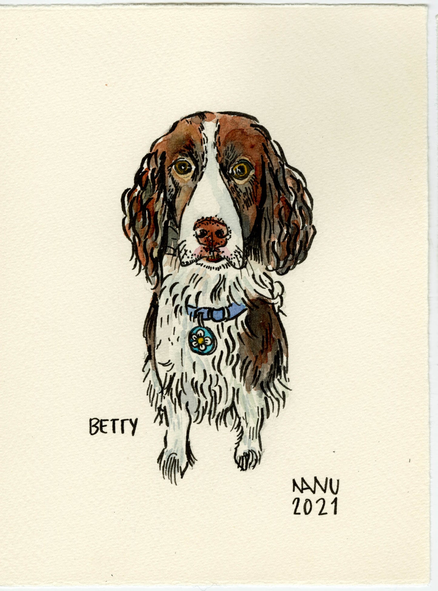 Pet Portraits