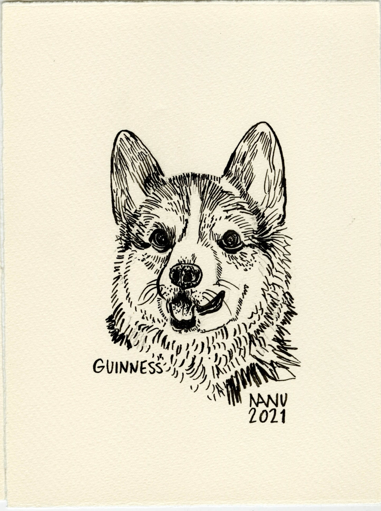 Pet Portraits