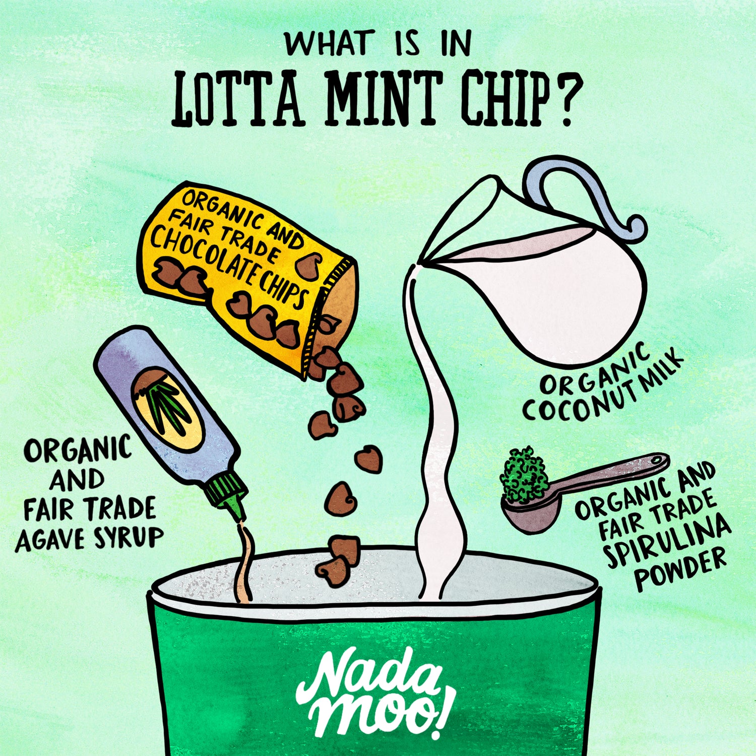 Mint green background, black words above "what is in Lotta Mint Chip?" Lower half of image shows top portion of ice cream pint with main ingredients pouring in from left to right: agave syrup, chocolate chips, coconut milk, spirulina.