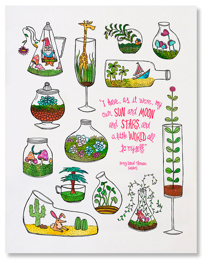 Little Worlds - Illustrated Nature Terrarium Plant Art Print