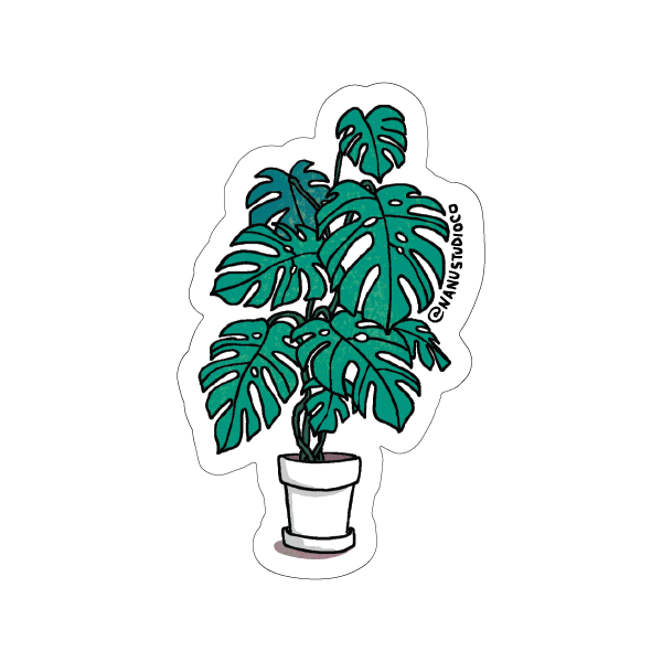 plant pot stickers Monstera