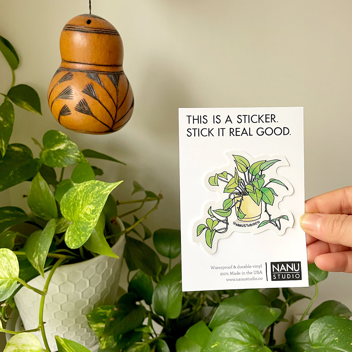 Pothos - Illustrated Nature Plant Garden Sticker