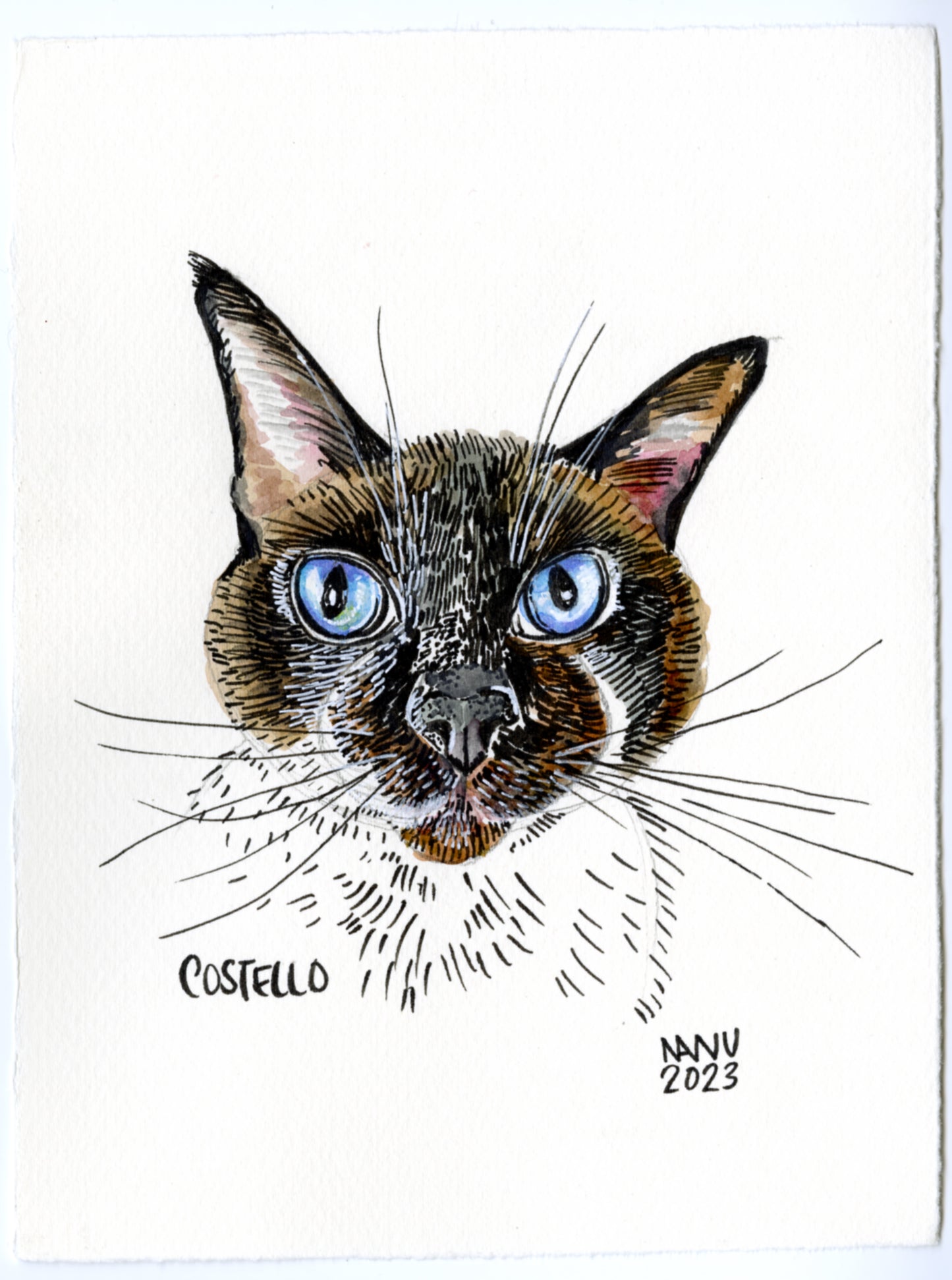 Custom Pet Portraits