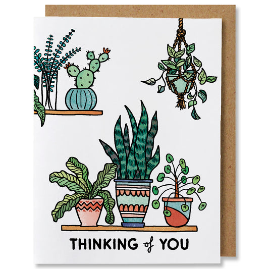 An illustrated greeting card featuring colourful planters. Three different plants in planters on a bottom shelf, one cactus in a planter on a top shelf, and a hanging planter. The card features the caption "thinking of you"