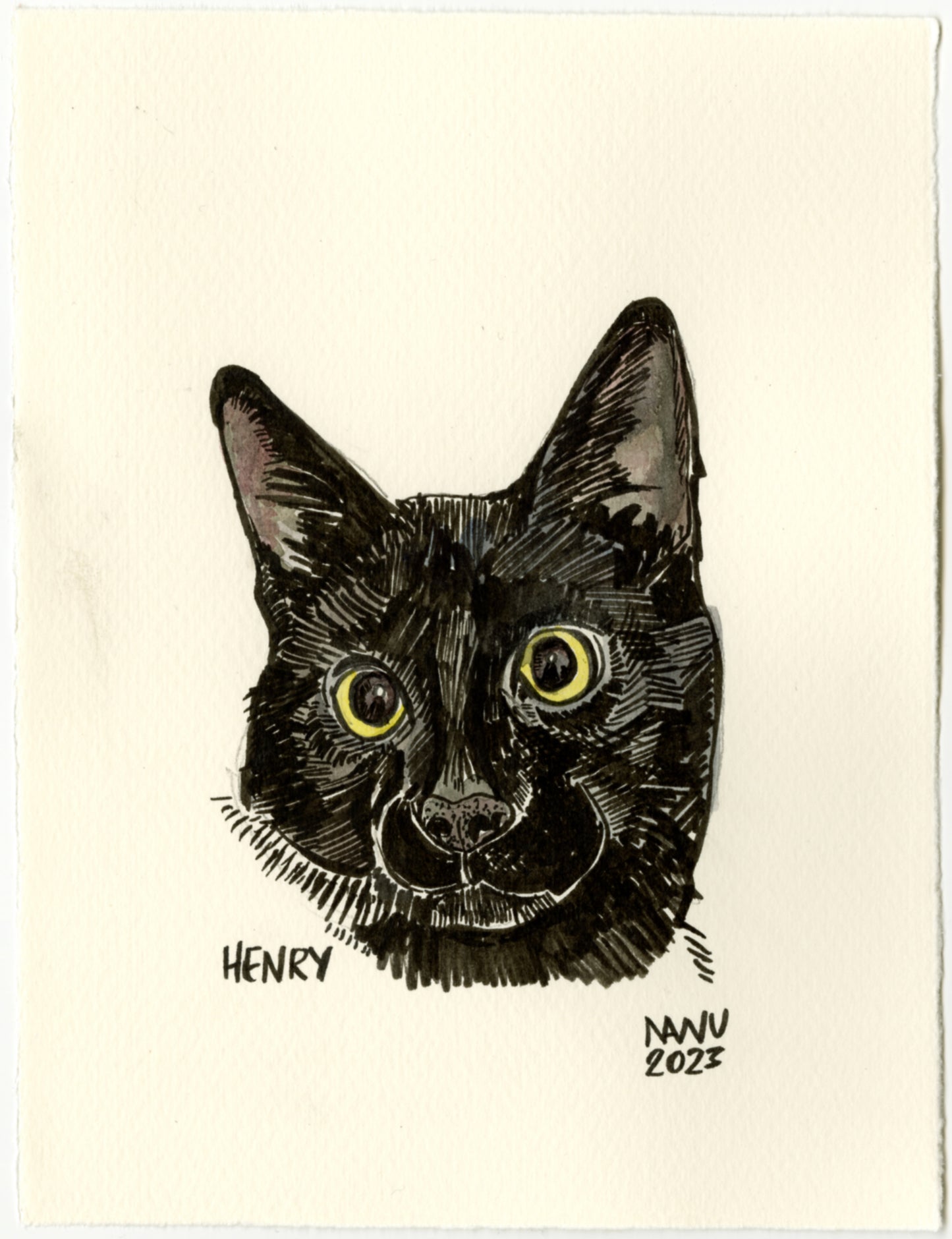 Custom Pet Portraits