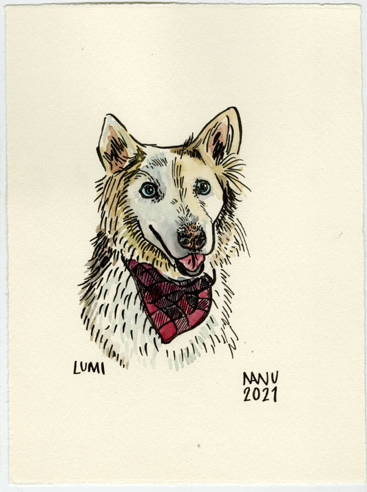 Pet Portraits