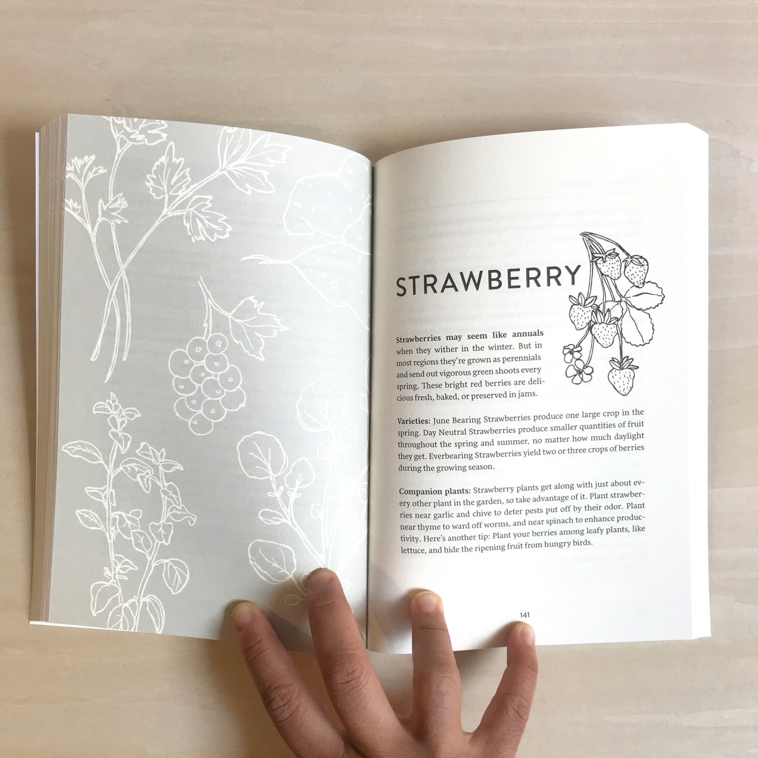 "Growing Perennial Foods" book open to "Strawberry" page featuring an illustrated cluster of strawberries and a description on the right page, light gray and white patterning of herbs on left page with a hand holding the spread open on light wood desk