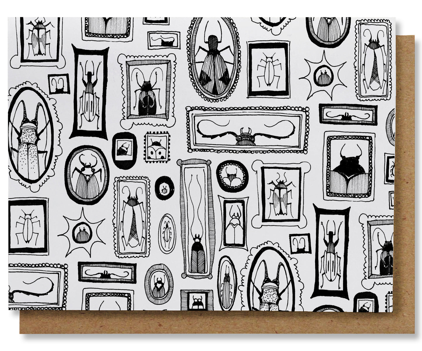 Bug Portraits - Illustrated Note Card Box Set