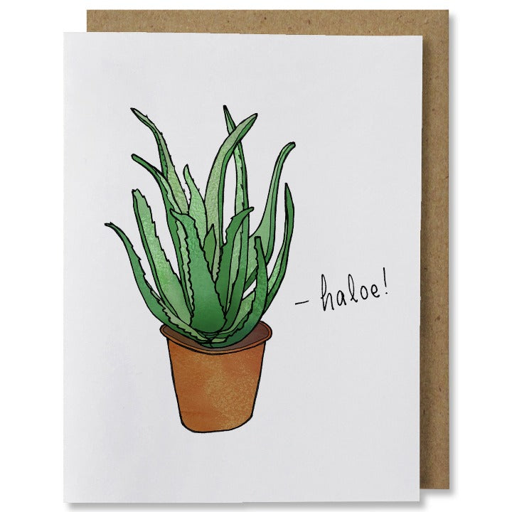 Illustrated greeting card of an aloe plant in a terracotta planter  with the word "haloe!" written to the right
