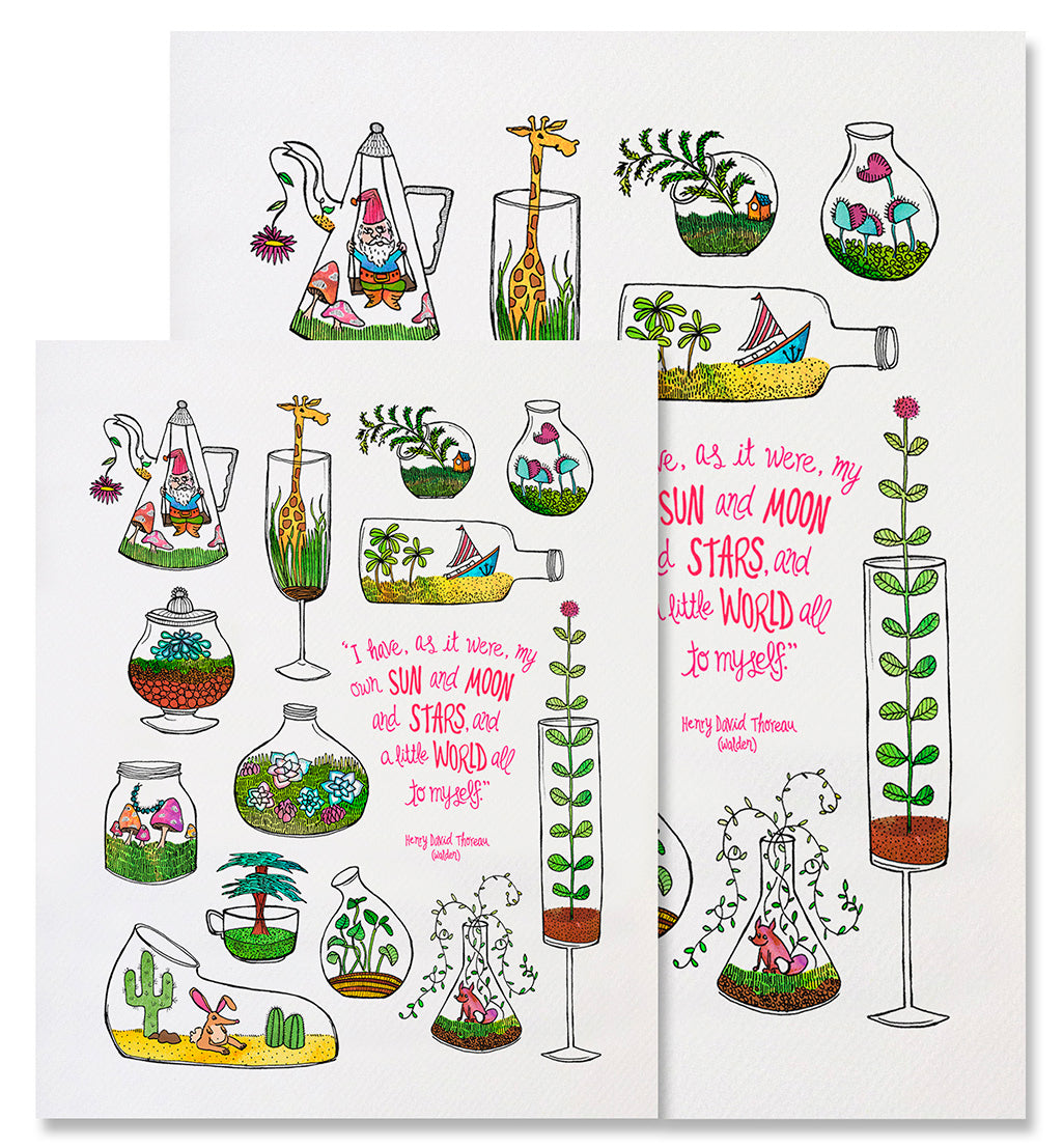 Little Worlds - Illustrated Nature Terrarium Plant Art Print