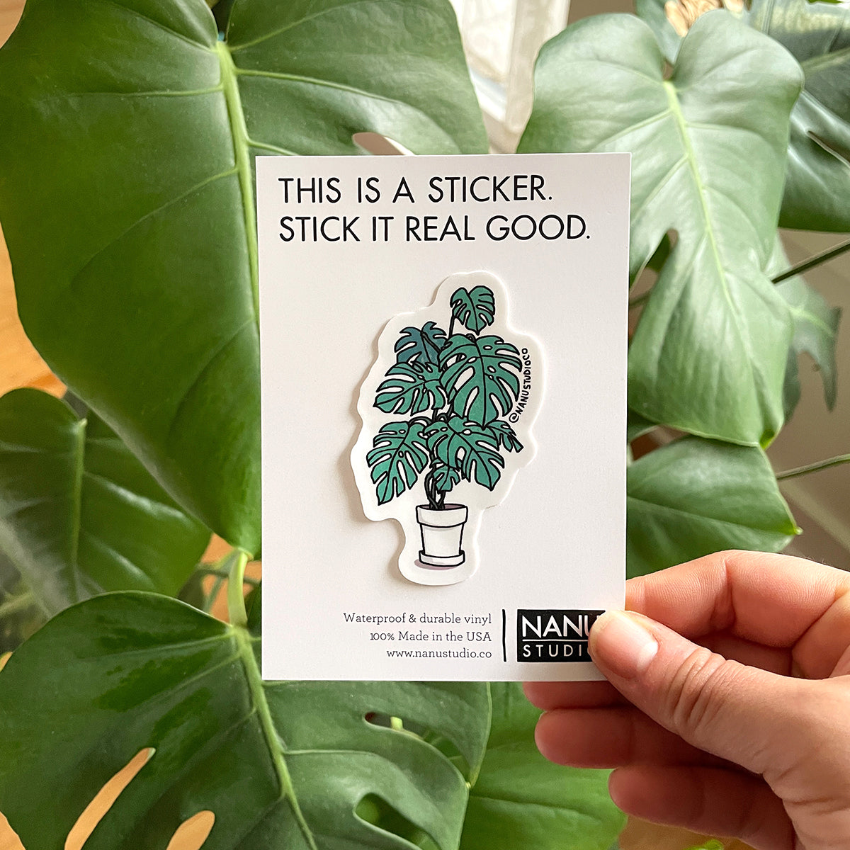 Monstera - Illustrated Nature Plant Sticker