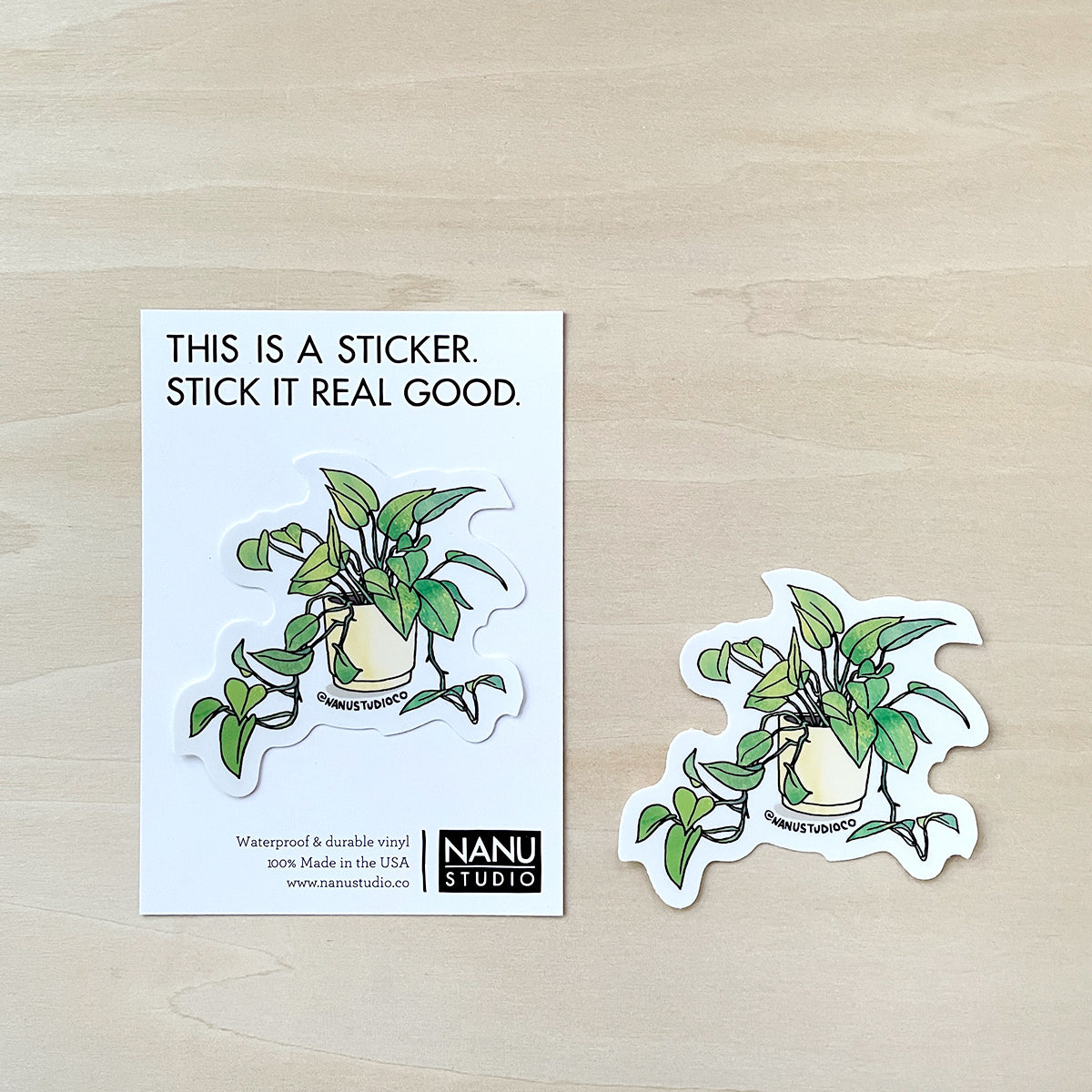 Pothos - Illustrated Nature Plant Garden Sticker – NANU Studio