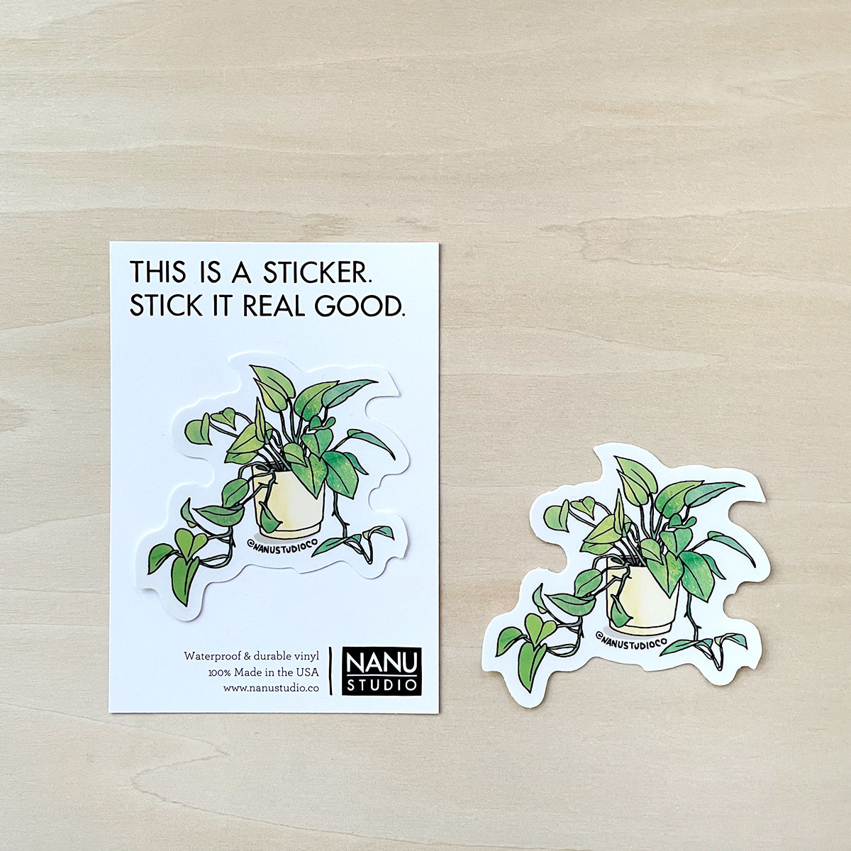 Pothos - Illustrated Nature Plant Garden Sticker